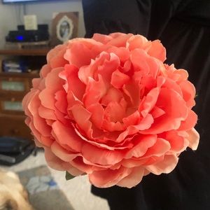 Pier One Napkin Rings